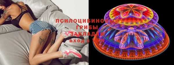 сатива Медногорск
