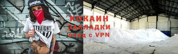 прущие грибы Краснослободск