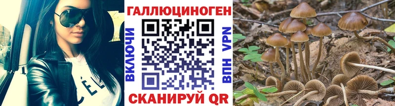 как найти закладки Брюховецкая Псилоцибиновые грибы ЛСД